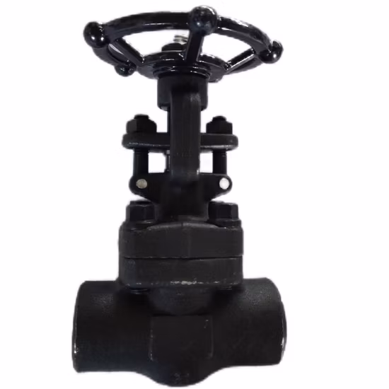 Socket Weld Stainless Steel Globe Valve Class800