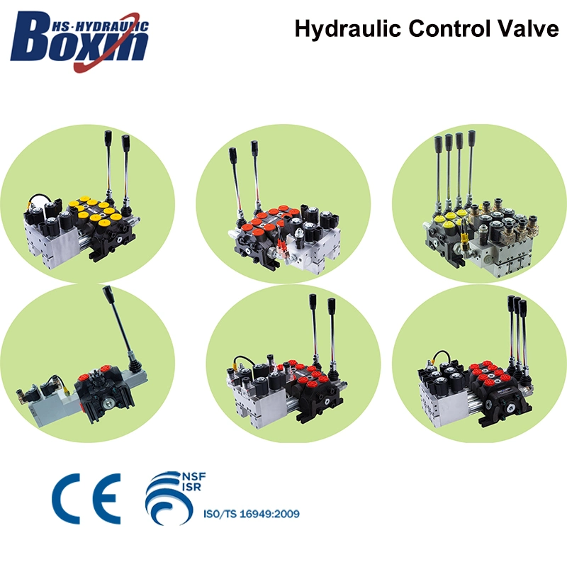 Factory Direct Sale Hydraulic Multi-Way/Directional Control Valve for Forklift