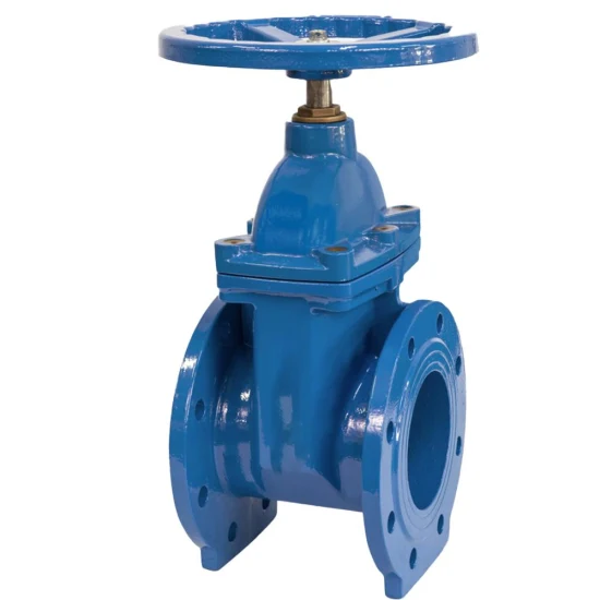 China Manufactured Forged Steel A105n 800lb Standard Water Carbon Steel /Ss / Manual Medium Temperature General DN50-DN600 DN15-DN50 Gate Valve
