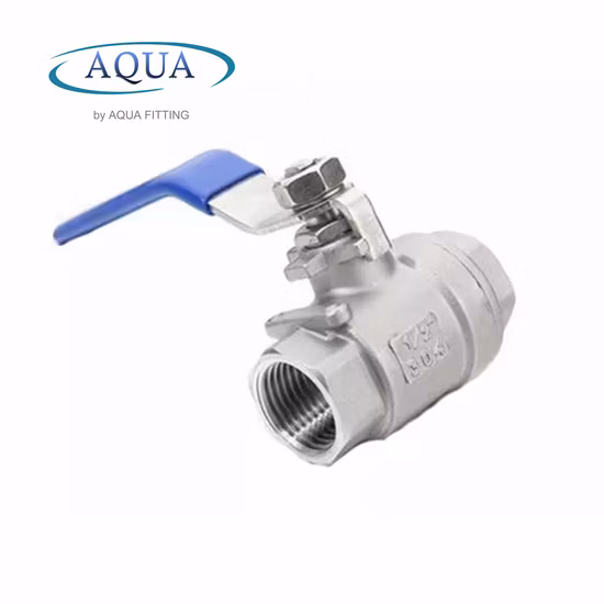 SS304 316 Stainless Steel Handle with Locking Internal Thread BSPP BSPT NPT 2PC Ball Valve