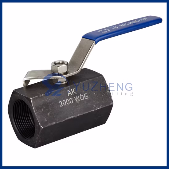 Hot Sale Hand Lever/Gear Actuated Carbon Steel Plastic Sealing Welded Strainer Ball Valve